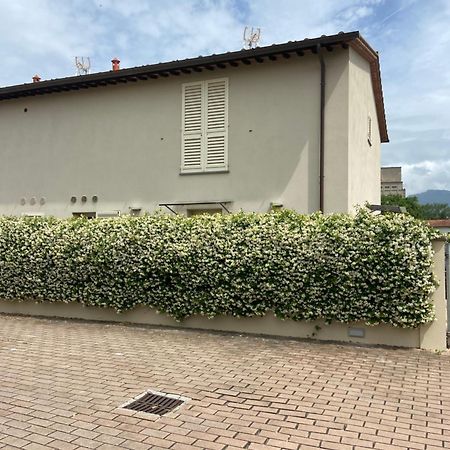 Villa Casa Ariel Lucca Exterior foto