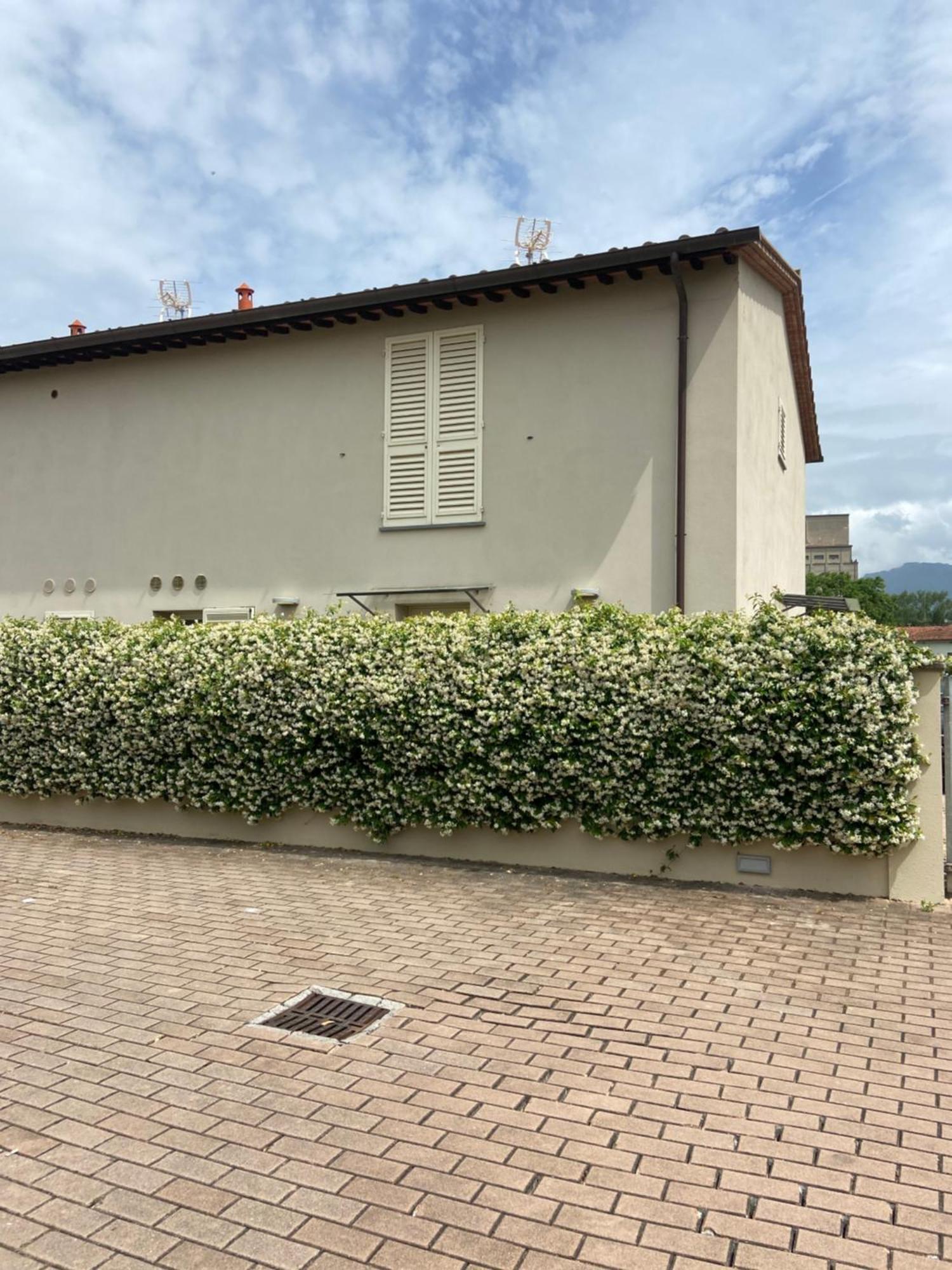 Villa Casa Ariel Lucca Exterior foto